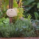 & Restaurant Bergschloesschen Hotel