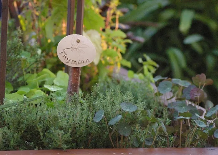 & Restaurant Bergschloesschen Hotel